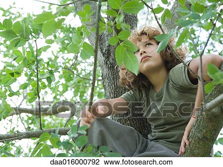 Boy sitting in tree View Large Photo Image Stock Image - Boy sitting in tree. Fotosearch