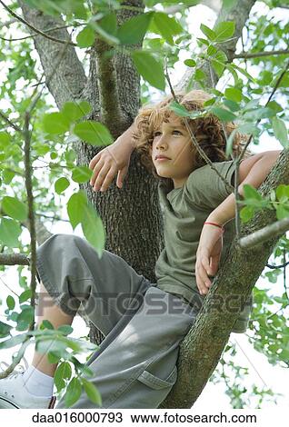 Stock Image - Boy sitting in tree. Fotosearch