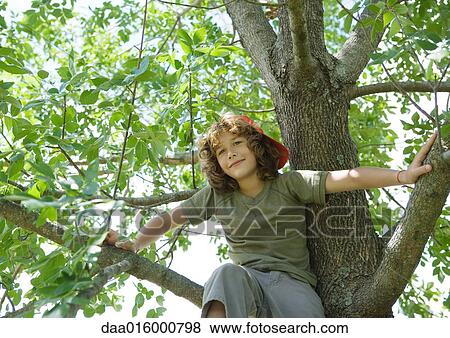 Boy sitting in tree View Large Photo Image Stock Photo - Boy sitting in tree. Fotosearch