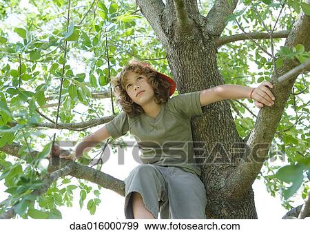Stock Photo - Boy sitting in tree. Fotosearch