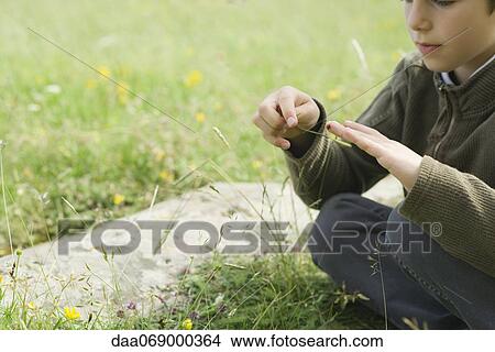 Boy sitting on grass, playing with ladybug View Large Photo Image Picture - Boy sitting on grass, playing with ladybug. Fotosearch