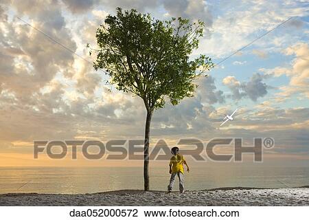 Boy standing beneath tree on beach watching plane soaring through the air View Large Photo Image Stock Image - Boy standing beneath tree on beach watching plane soaring through the air. Fotosearch