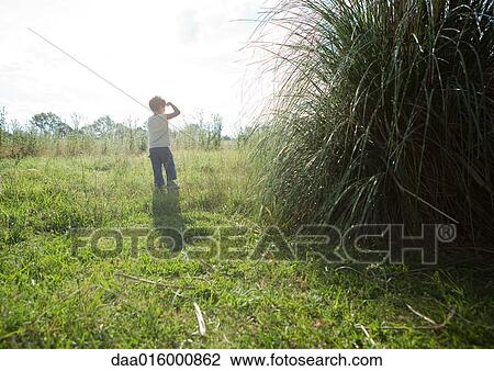Boy standing in field, shading eyes View Large Photo Image Stock Image - Boy standing in field, shading eyes. Fotosearch