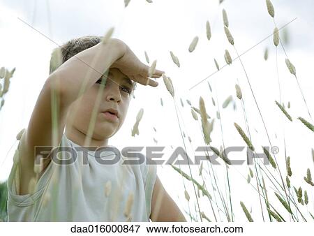 Boy standing in weeds, shading eyes View Large Photo Image Stock Photo - Boy standing in weeds, shading eyes. Fotosearch