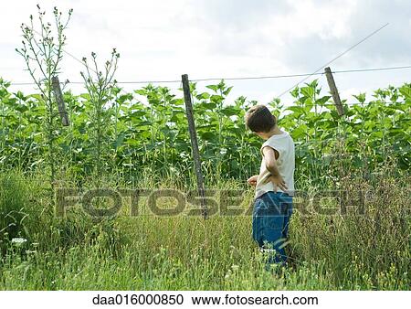 Boy standing next to fence View Large Photo Image Stock Image - Boy standing next to fence. Fotosearch