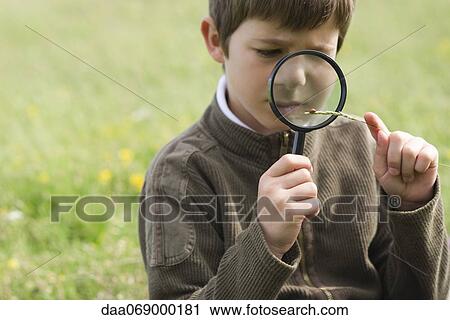 Stock Image - Boy studying ladybug with magnifying glass. Fotosearch