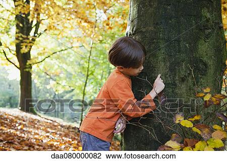 Boy touching tree trunk in autumn View Large Photo Image Stock Image - Boy touching tree trunk in autumn. Fotosearch