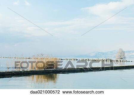 Breakwater on body of water View Large Photo Image Stock Image - Breakwater on body of water. Fotosearch
