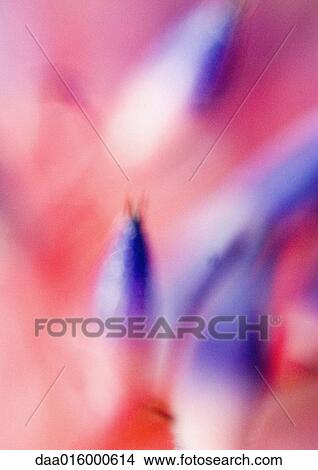 Bromeliad flowers, extreme close-up View Large Photo Image Picture - Bromeliad flowers, extreme close-up. Fotosearch