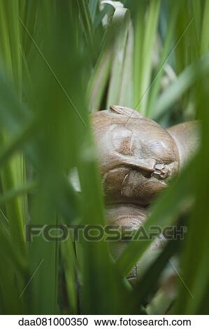 Buddha statue in grass View Large Photo Image Stock Image - Buddha statue in grass. Fotosearch