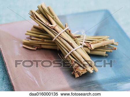 Bundles of dried wild fennel View Large Photo Image Stock Photography - Bundles of dried wild fennel. Fotosearch