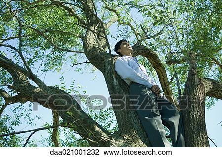 Stock Image - Businessman in tree, low angle view. Fotosearch