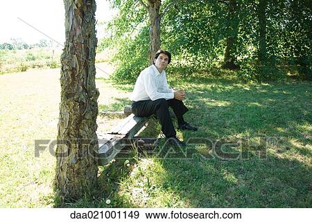 Businessman sitting under tree on bench View Large Photo Image Stock Photo - Businessman sitting under tree on bench. Fotosearch