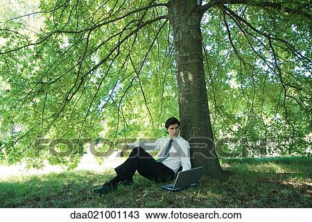 Stock Image - Businessman sitting under tree, using laptop. Fotosearch