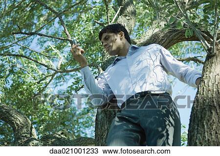 Businessman using cell phone in tree View Large Photo Image Stock Image - Businessman using cell phone in tree. Fotosearch