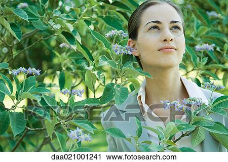 Businesswoman standing in vegetation, looking up View Large Photo Image Stock Image - Businesswoman standing in vegetation, looking up. Fotosearch