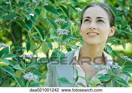 Businesswoman standing in vegetation, looking up View Large Photo Image Stock Image - Businesswoman standing in vegetation, looking up. Fotosearch