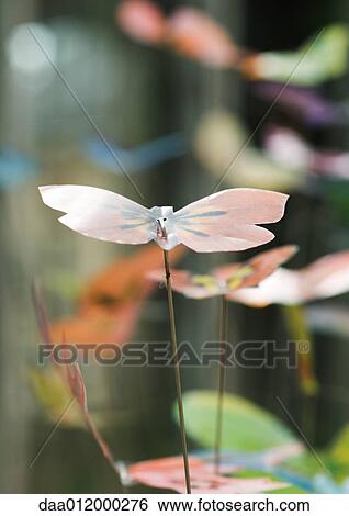 Stock Photograph - Butterfly decorations. Fotosearch