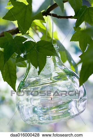 Candle in lantern, hanging from branch View Large Photo Image Stock Photo - Candle in lantern, hanging from branch. Fotosearch