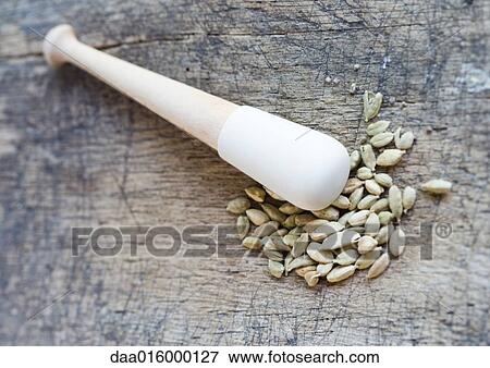 Stock Photo - Cardamom seeds and pestle. Fotosearch