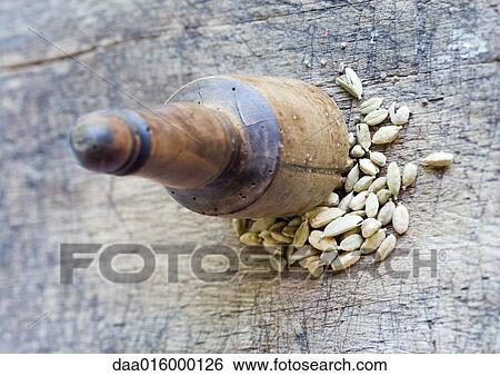 Cardamom seeds and pestle View Large Photo Image Stock Photograph - Cardamom seeds and pestle. Fotosearch