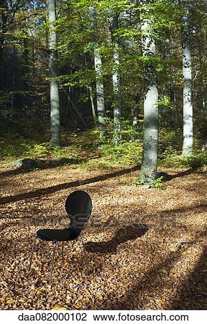 Chair in woods View Large Photo Image Stock Image - Chair in woods. Fotosearch