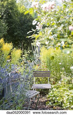 Chairs in flower garden View Large Photo Image Stock Image - Chairs in flower garden. Fotosearch