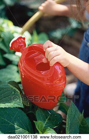 Child holding watering can, cropped view View Large Photo Image Stock Photo - Child holding watering can, cropped view. Fotosearch