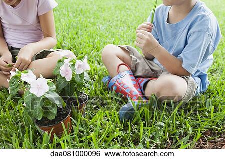 Children sitting on grass with potted flowers, cropped View Large Photo Image Stock Photograph - Children sitting on grass with potted flowers, cropped. Fotosearch