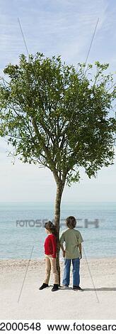 Stock Photo - Children standing by tree on beach looking at view. Fotosearch