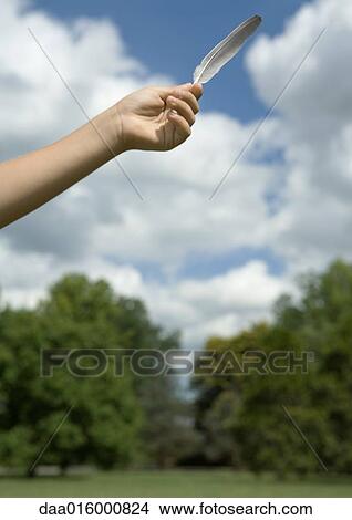 Child's arm holding up feather View Large Photo Image Picture - Child's arm holding up feather. Fotosearch
