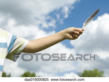 Stock Photography - Child's arm holding up feather. Fotosearch