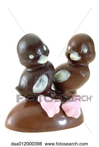 Chocolate chics View Large Photo Image Stock Photo - Chocolate chics. Fotosearch