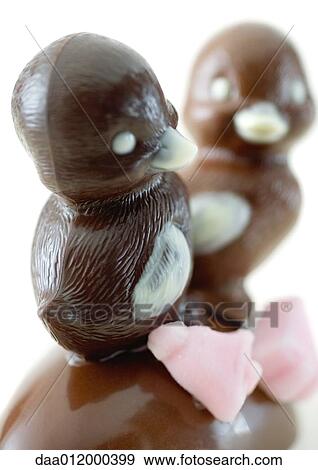 Chocolate chics View Large Photo Image Stock Photo - Chocolate chics. Fotosearch