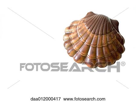 Stock Photo - Chocolate seashell. Fotosearch