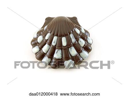 Stock Photo - Chocolate seashell. Fotosearch