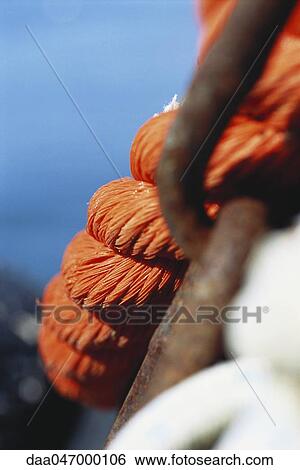 Close-up of rigging View Large Photo Image Stock Photograph - Close-up of rigging. Fotosearch