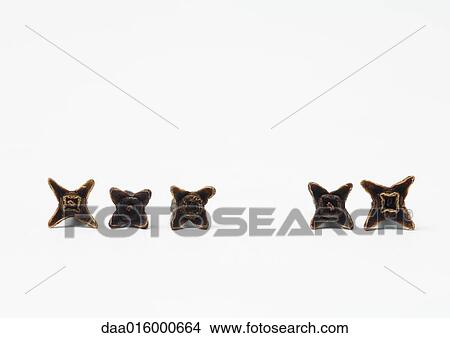 Cloves View Large Photo Image Picture - Cloves. Fotosearch