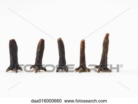 Cloves View Large Photo Image Stock Image - Cloves. Fotosearch