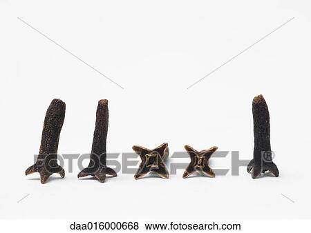 Cloves View Large Photo Image Stock Photo - Cloves. Fotosearch