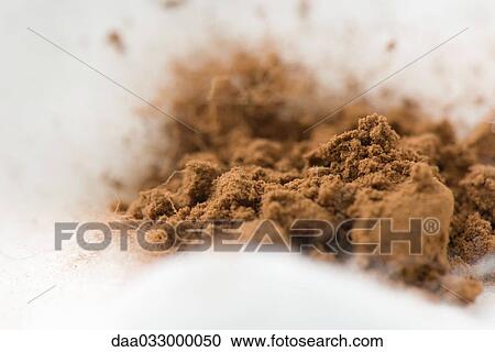 Cocoa powder on cotton cosmetic pad, close-up View Large Photo Image Stock Image - Cocoa powder on cotton cosmetic pad, close-up. Fotosearch