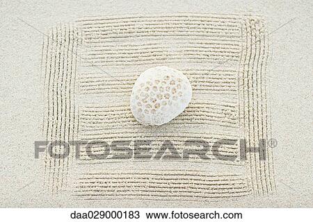 Coral on raked sand, close-up View Large Photo Image Stock Image - Coral on raked sand, close-up. Fotosearch
