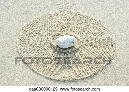 Coral on raked sand, close-up View Large Photo Image Stock Photo - Coral on raked sand, close-up. Fotosearch