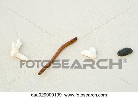 Coral, pebble, and stick lined up on the beach, close-up View Large Photo Image Stock Photo - Coral, pebble, and stick lined up on the beach, close-up. Fotosearch