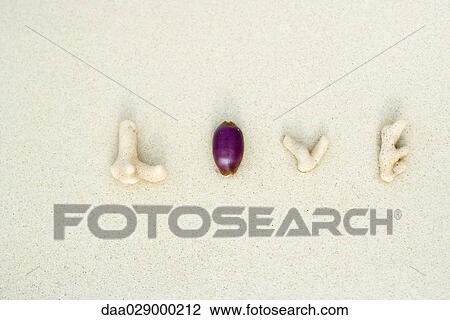 Coral pieces and seashell spelling the word love on the beach, close-up View Large Photo Image Stock Image - Coral pieces and seashell spelling the word love on the beach, close-up. Fotosearch