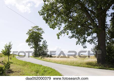 Country road View Large Photo Image Stock Photo - Country road. Fotosearch