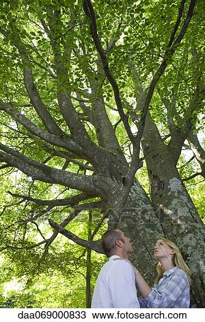 Couple admiring tall trees View Large Photo Image Stock Image - Couple admiring tall trees. Fotosearch