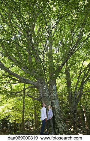Couple admiring tall trees View Large Photo Image Stock Photo - Couple admiring tall trees. Fotosearch
