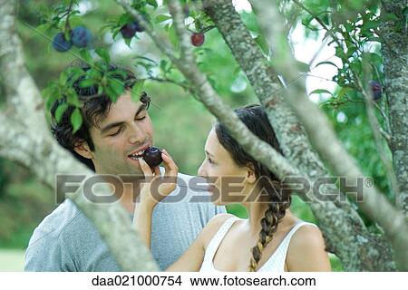 Picture - Couple by plum tree, woman feeding man plum. Fotosearch