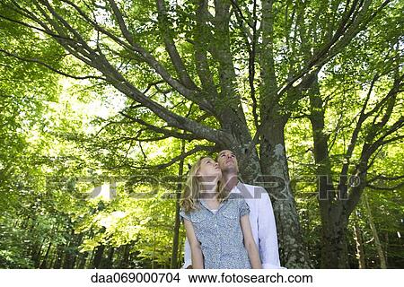 Picture - Couple in woods, looking up. Fotosearch
